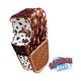 MAXIBON NATA
